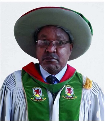 prof wokabi