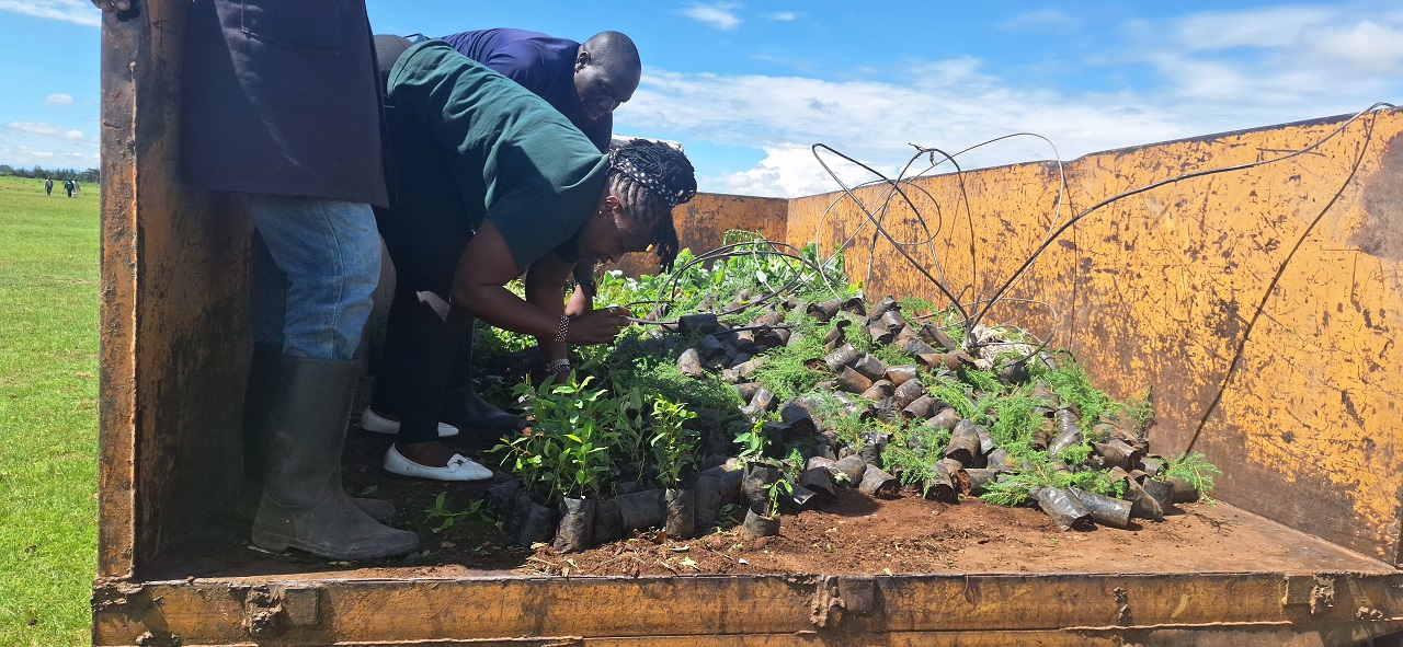 Egerton University and Local Schools Participate in Tree Planting Initiative