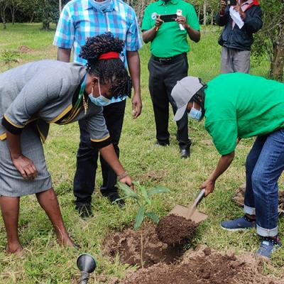 TREE PLANTING CEREMONY  - 2020