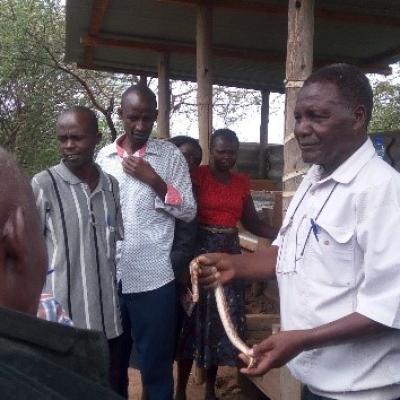 Mr. Cheruiyot Showing The Kenyan Sand Boa To The Visitors