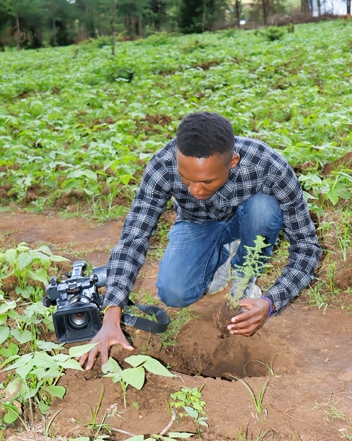 tree planting2 min